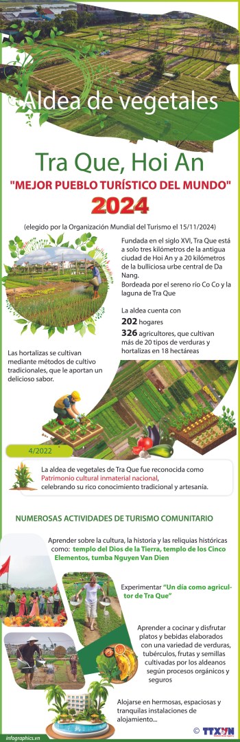 2024-11-16-vn-lang-rau-tra-que-v02-h84-h84-2860-350x1080-1