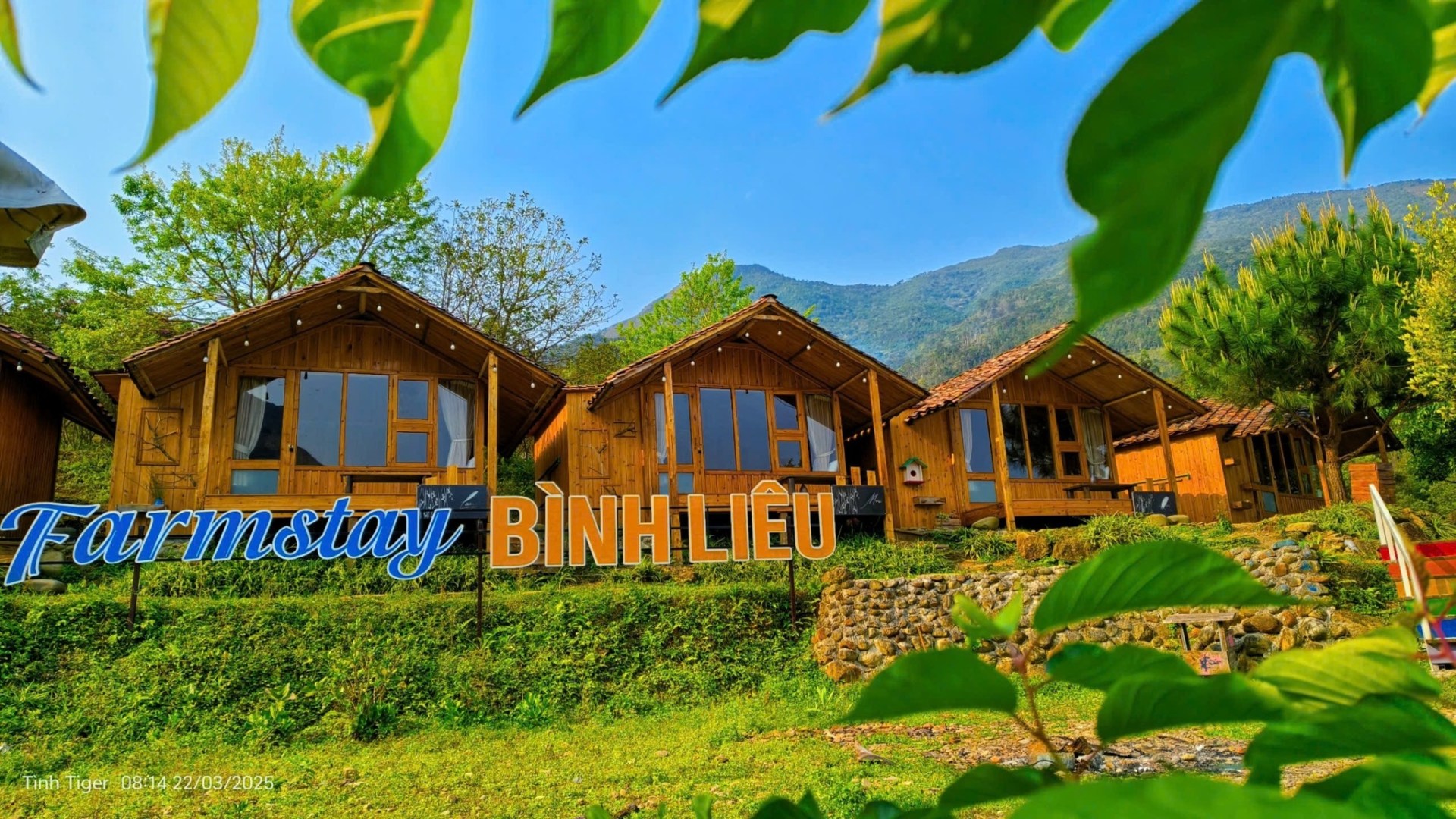binh-lieu-2-1920x1080-1