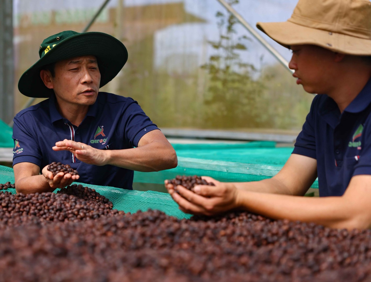 vna_potal_aeroco_coffee_dak_lak_nong_trai_huong_den_du_lich_xanh_ben_vung_7947145-1418x1080-1