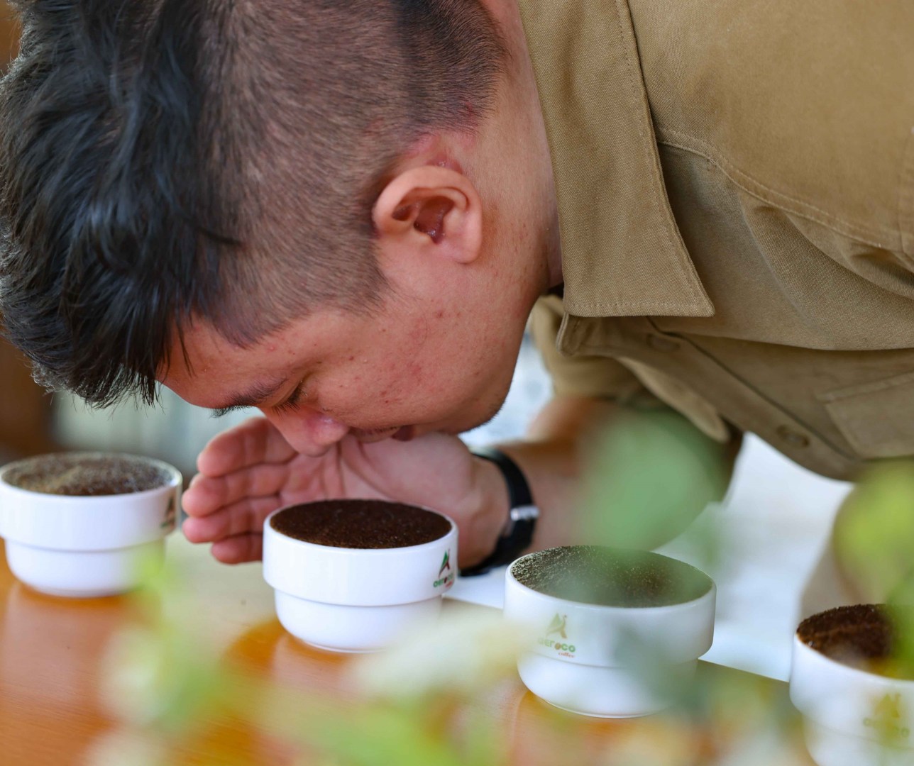vna_potal_aeroco_coffee_dak_lak_nong_trai_huong_den_du_lich_xanh_ben_vung_7947148-1288x1080-1
